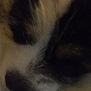 Meet your Posher, Ann